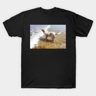 Wish you were here Spinone T-Shirt